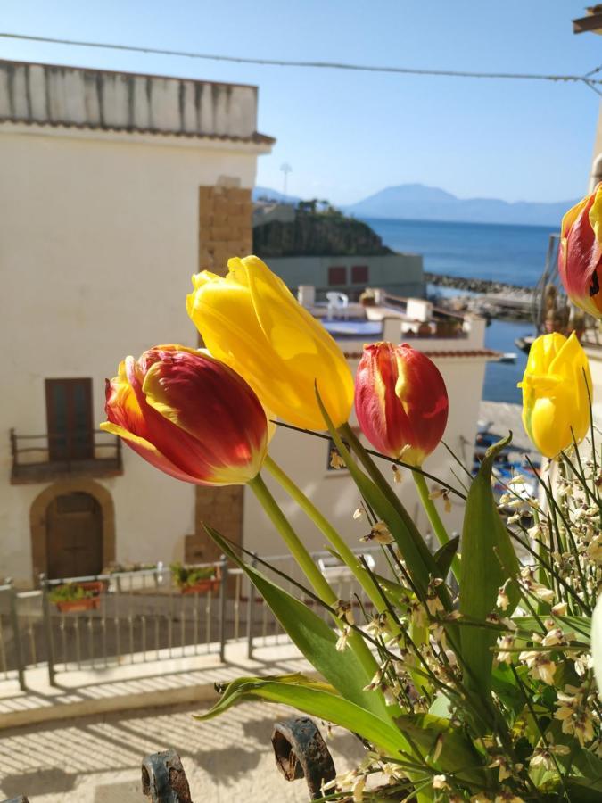 Summer Dream La Casa Sul Mare Trappeto (Sicily) Exterior foto